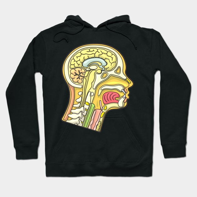 Human Head Anatomy Cross Section Illustration Hoodie by taylorcustom